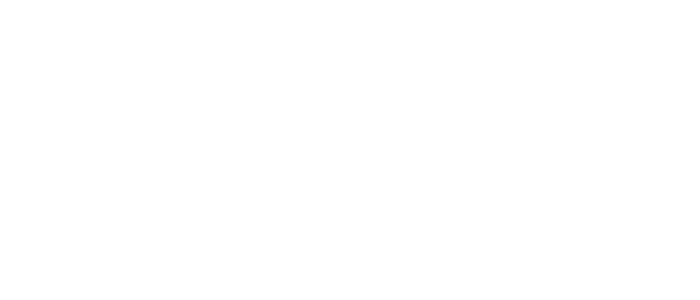 MR ZVUK